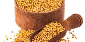Yellow Mustard Seeds