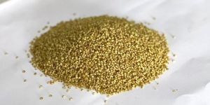 Browntop Millet