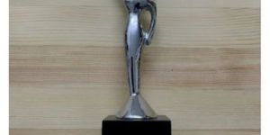 Stainless Steel Award Trophy