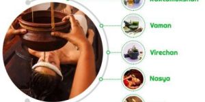 Panchakarma And Ayurvedic Treatment Service
