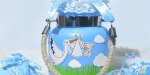 Baby Announcement Glass Jars