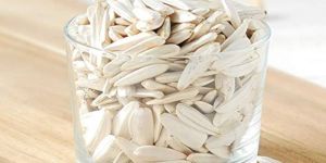 Natural White Sunflower Seeds