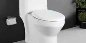 Valencia One Piece Toilet Closet