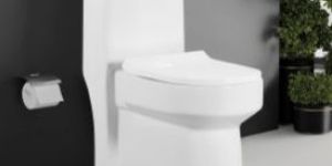 Vallery One Piece Toilet Closet