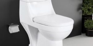 Vector One Piece Toilet Closet