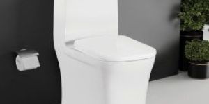 Viper One Piece Toilet Closet