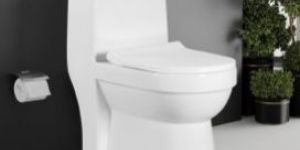 Vision One Piece Toilet Closet
