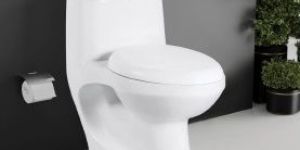 Vista One Piece Toilet Closet