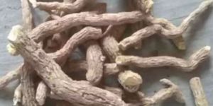 Sarpagandha Roots
