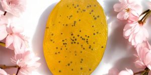 Lemon with Scrub Soap