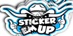 Die Cut PVC Sticker