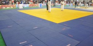 Judo Mat