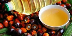 Palm Oil