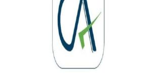 Chartered Accountant Service