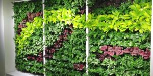 Vertical Garden