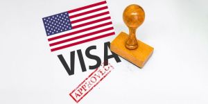 Basic Visa Service