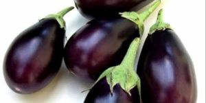 Fresh Brinjal