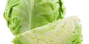 Cabbage