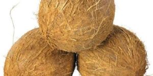 Fully Husked Coconut