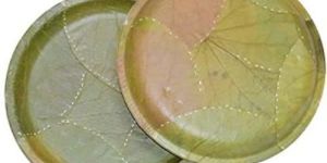 Disposable Paper Plates