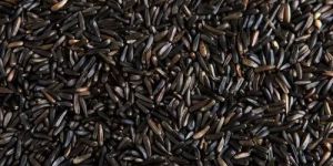 Natural Niger Seeds