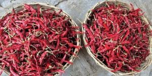 S17 Teja Dry Red Chilli