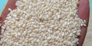 White Sesame Seeds