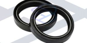 TVS King Oil Seal