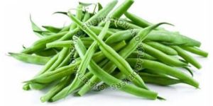 Fresh Organic Green Beans