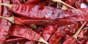 Organic Dry Red Chilli