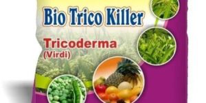 Trichoderma Viride