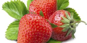 Fresh Strawberry