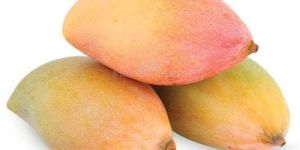 Fresh Totapuri Mango