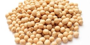 Soybean Seeds