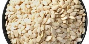 Watermelon Seed Kernels