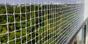 Bird Netting Service