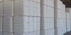 Raw Cotton Bale
