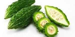 Fresh Bitter Gourd