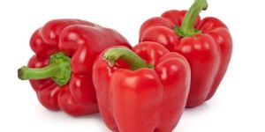 Fresh Red Capsicum