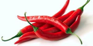 Fresh Red Chilli