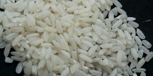 Short Grain Non Basmati Rice