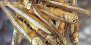 Dry Anchovies