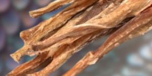 Dry Bombay Duck Fish