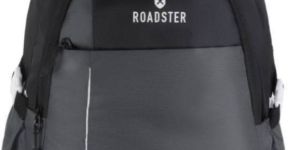 Roadster Laptop Backpack Bag