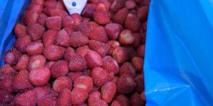 Frozen Strawberries