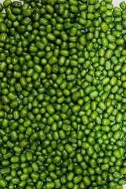 Research Moong Seed