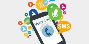Bulk Voice Call Marketing Service