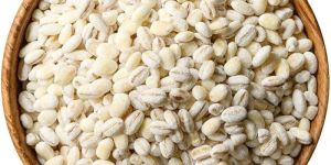 Pearl Barley Seeds