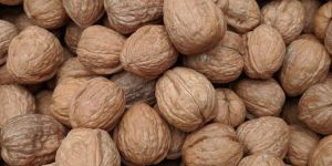 Walnuts