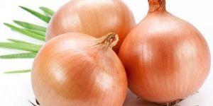 Fresh Brown Onion